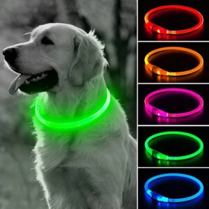 Koera LED-kaelarihm USB-laadimisega